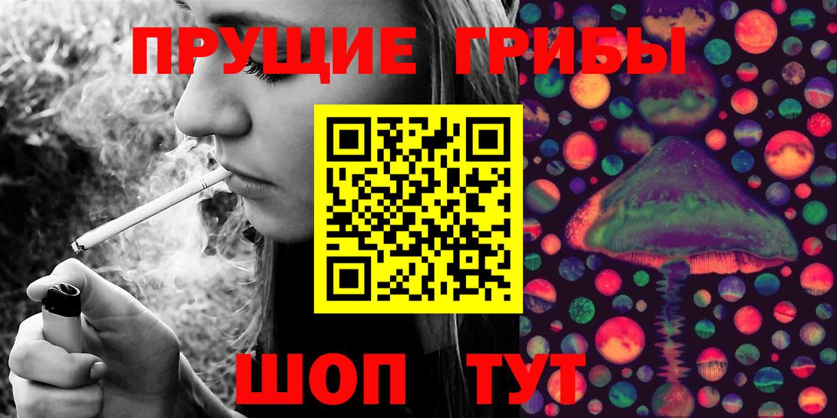 Галлюциногенные грибы Cubensis Новоалтайск