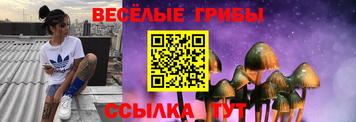 Новоалтайск  Псилоцибиновые грибы Magic Shrooms  Вход с VPN  Псилоцибиновые грибы MAGIC MUSHROOMS 